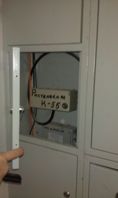 IMAG0310.jpg
